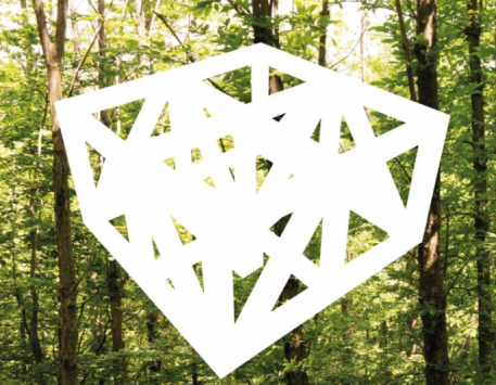 Exposició "ForestED – Del bosc a l’edificació"