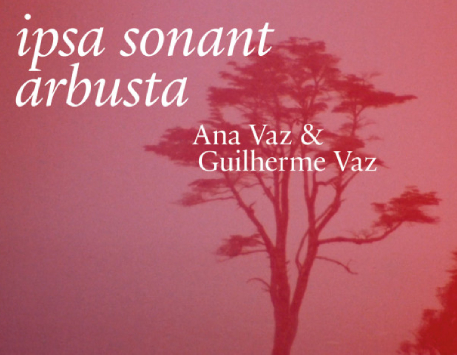 Exposició "Ipsa sonant arbusta"