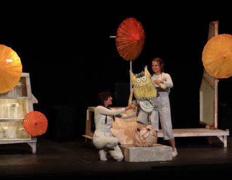 Anar a Espectacle 'El monstre de colors'