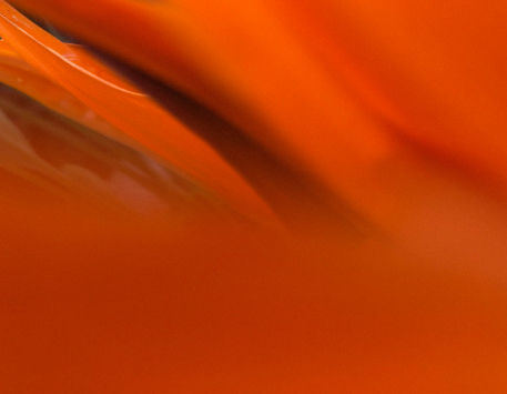 Anar a Exposició "My Own Private Garden"