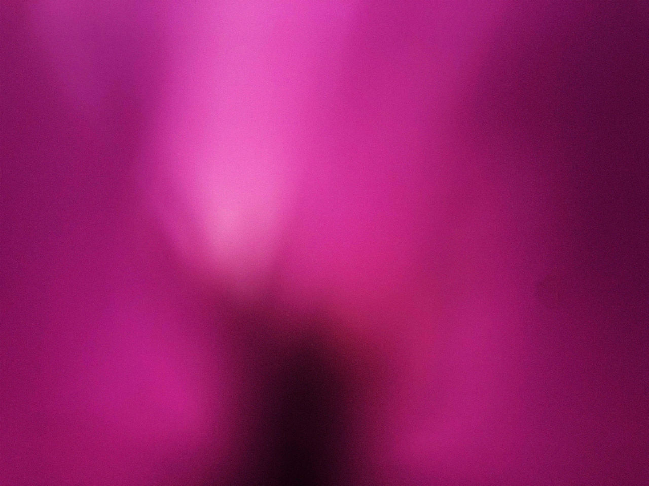 Anar a Exposició "My Own Private Garden"