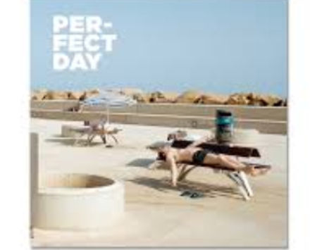 Anar a Exposició "Perfect Day"