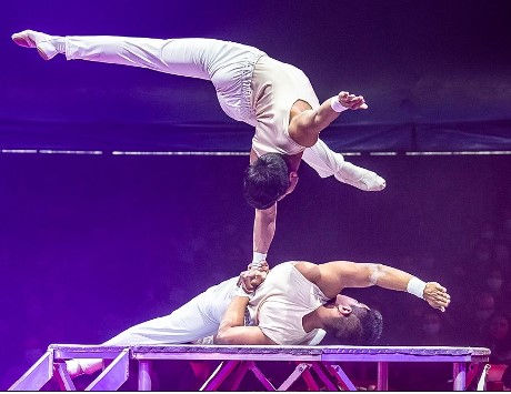 Anar a Font: Gran Circ de Nadal de Girona