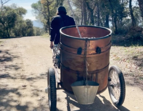 Anar a 'El somni d'un pardal'