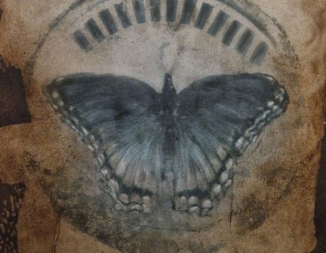 Anar a Exposició “La meva tardor”