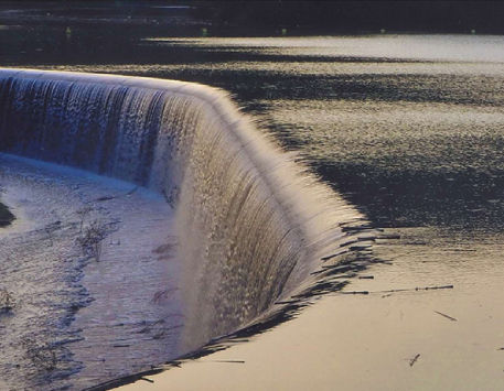 Exposició "Viu el parc"