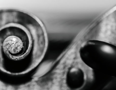 Concert "Quartet de corda. Cambra OBC 3"