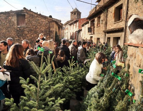 Anar a © Manel Lladó. Font: El Punt-Avui