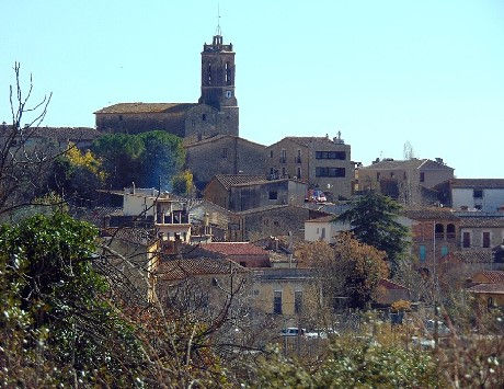 Anar a Poble de Colomers (Baix Empordà) a la riba esquerra del riu Ter en el seu curs final (© Josep Maria Viñolas Esteva). Font: Viquipèdia