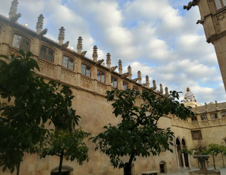 Anar a Carilló del Palau de la Generalitat