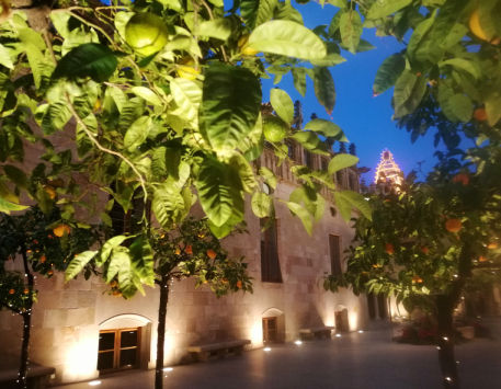 Anar a Carilló del Palau de la Generalitat