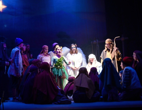 Els Pastorets Principals de Valls