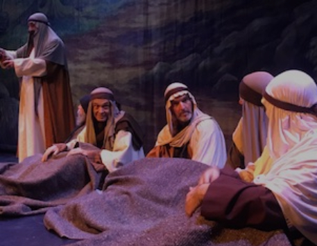 'Els Pastorets de Navarcles' - Font: Coordinadora de Pastorets de Catalunya