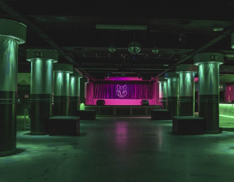 Concerts a la sala Wolf