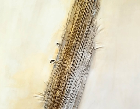 Exposició "El biaix de la pintura"