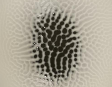 Exposició "Una cerca que és un tempteig"