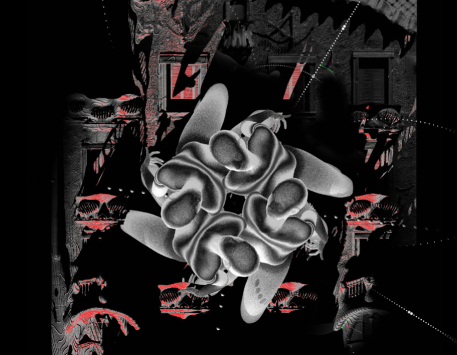 Exposició "Hidden Order"