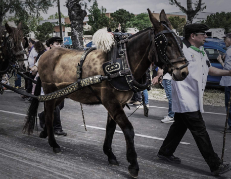 Festes dels Traginers i dels Tres Tombs
