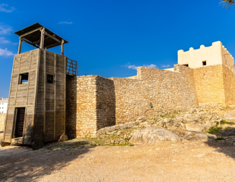 Visita guiada a la Ciutadella Ibèrica