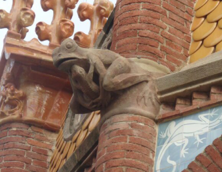 Flora i fauna a l'Hospital de Sant Pau