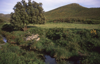 Paratge Natural d'Interès Nacional de l'Albera