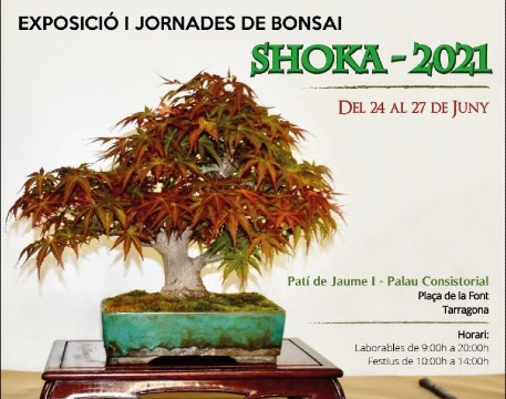 Exposició "Jornades de bonsai Shoka 2021"