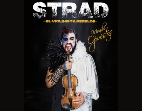 STRAD El violinista rebelde