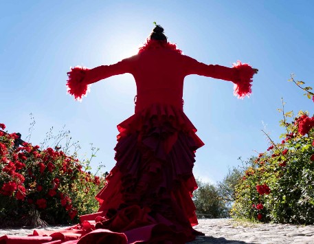 Cia. Chicharrón Circo Flamenco, amb 'Sin Ojana'