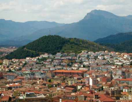 Vista d'Olot i el volcà Montolivet. Font: canmorera.com 